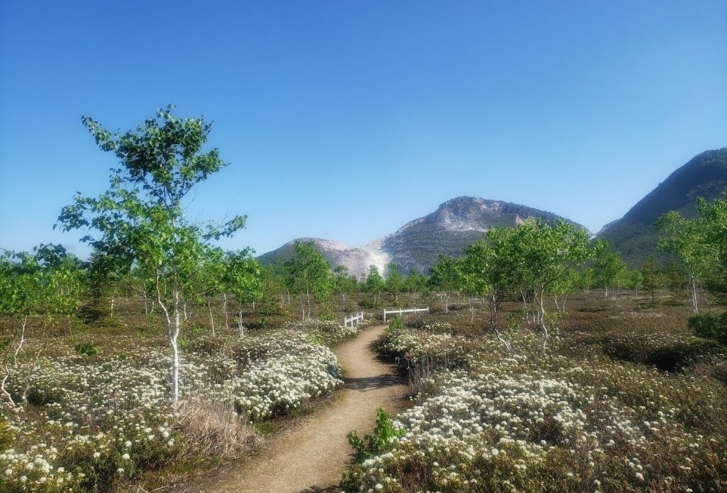 model_course_iouzan_02
