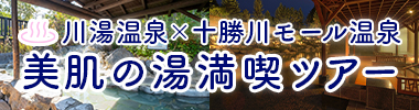 川湯温泉×十勝川モール温泉 美肌の湯満喫ツアー